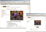 demopage live video encoder browser based streaming - playback