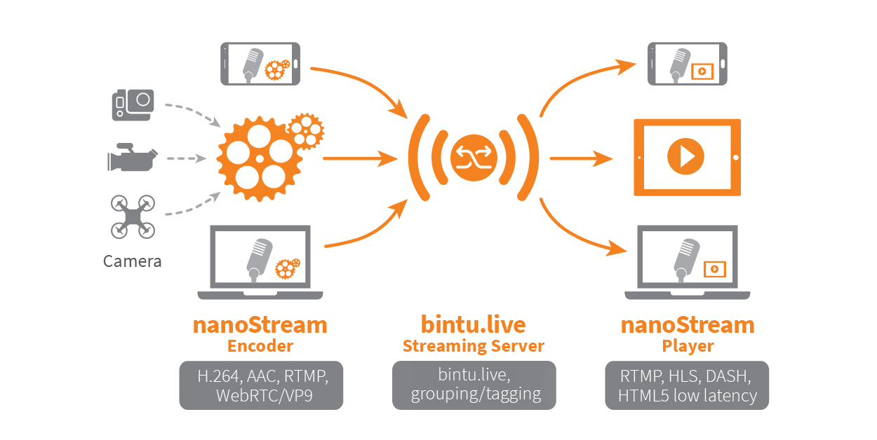 live streaming Schema.png