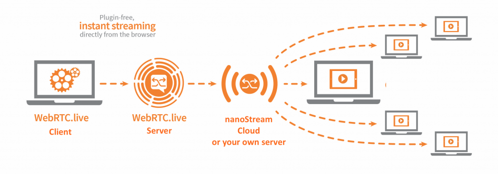 WebRTC.live workflow