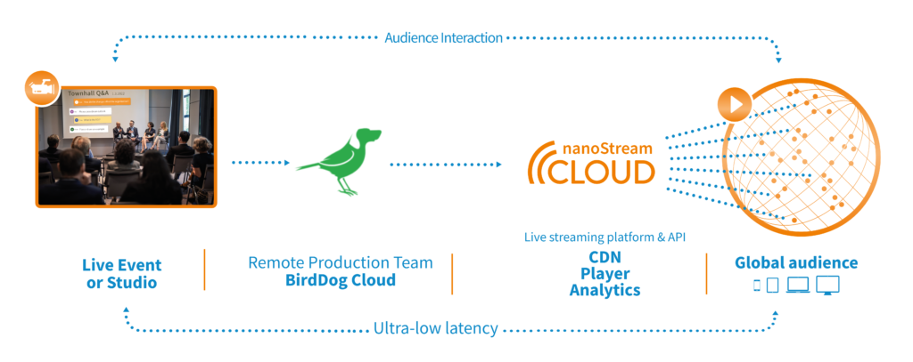 Infographic Workflow BirdDog-nanoStream Cloud
