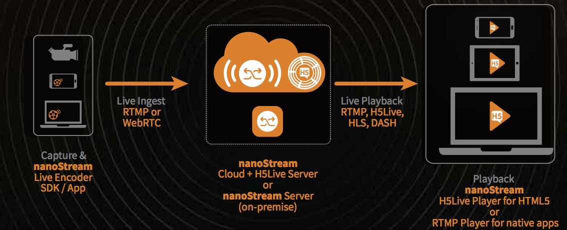 The WebRTC.live Demo